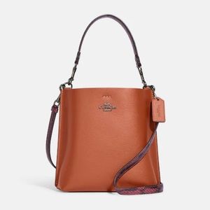 Coach Mollie Bucket Bag 22